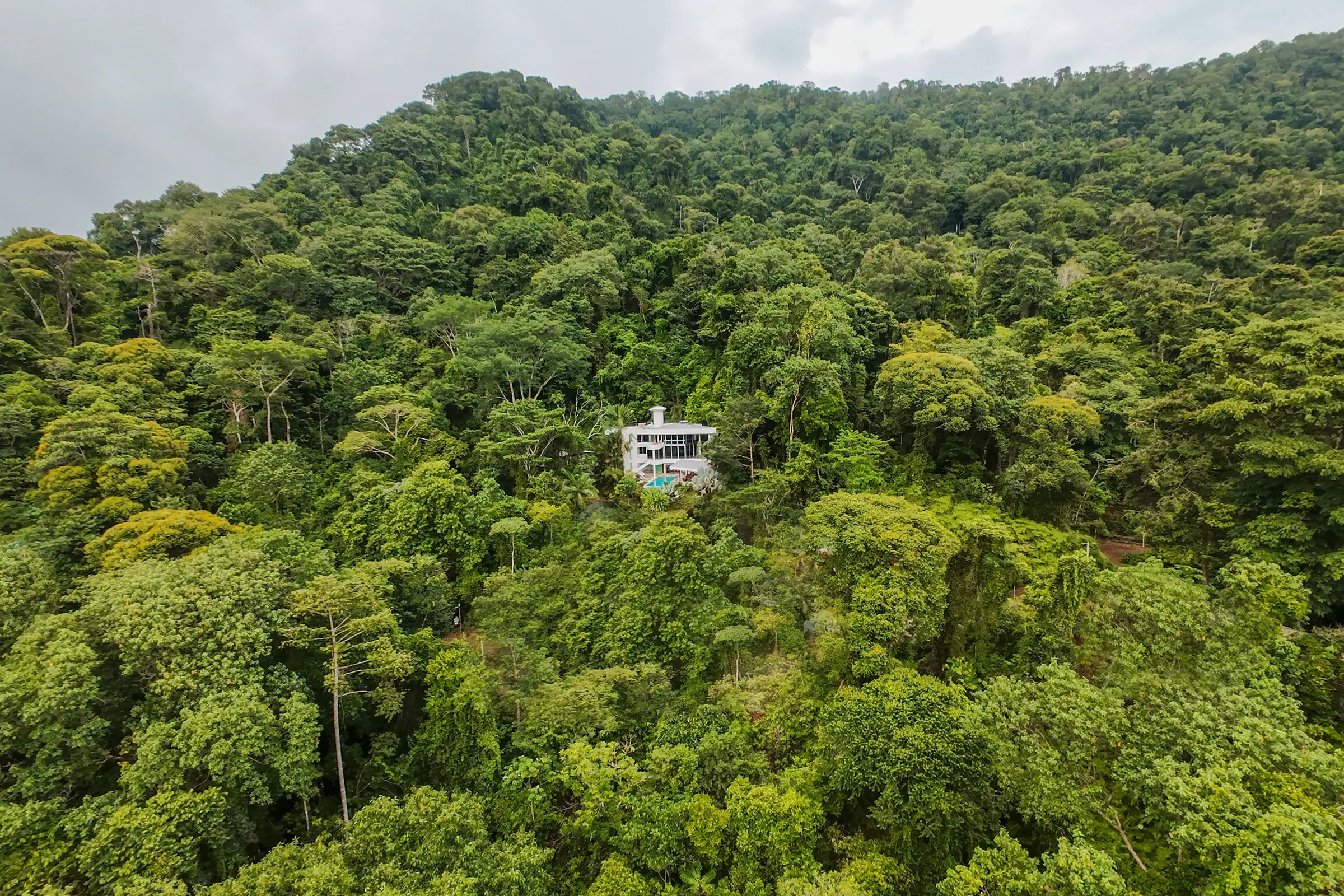 The house as a small white shape in an unbroken stretch of rainforest, with the coastal ridge beyond